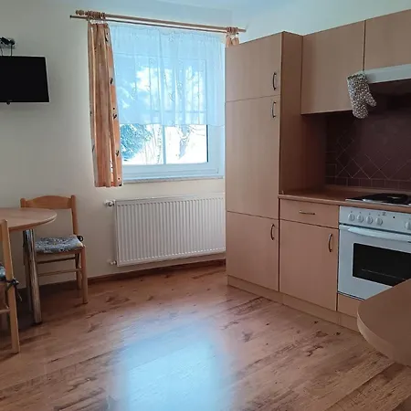 Apartment Lekarsky Dum
