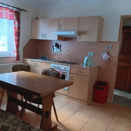 Apartment Lekarsky Dum